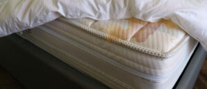 mattress from ericssons