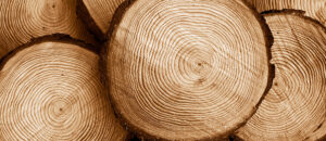 Pine Furniture