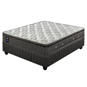 Sealy - Vibrant Medium Base set