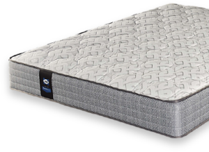 sealy mattresses