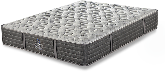 sealy beds